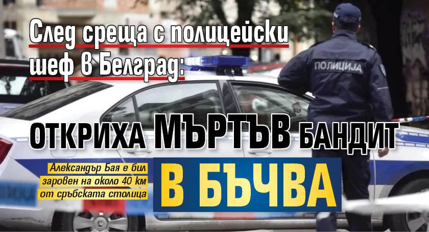 След среща с полицейски шеф в Белград: Откриха мъртъв бандит в бъчва 