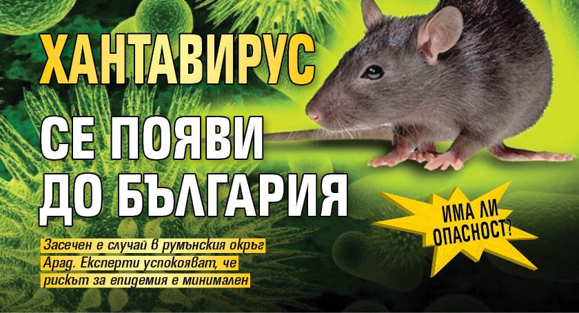 Има ли опасност? Хантавирус се появи до България