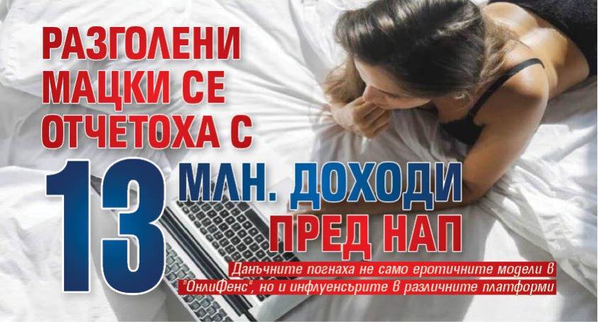 Разголени мацки се отчетоха с 13 млн. доходи пред НАП
