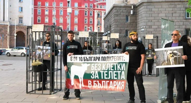 "Прогресивна България" подкрепя премахването на клетките за телета, но пари за това няма