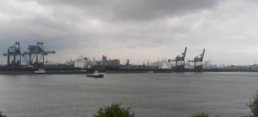 Ротердам приема круизния кораб, засегнат от хантавирус