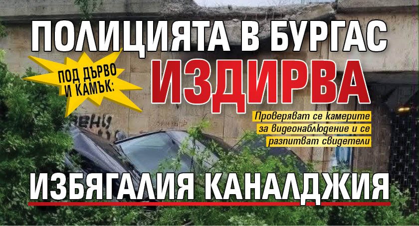 Под дърво и камък: Полицията в Бургас издирва избягалия каналджия