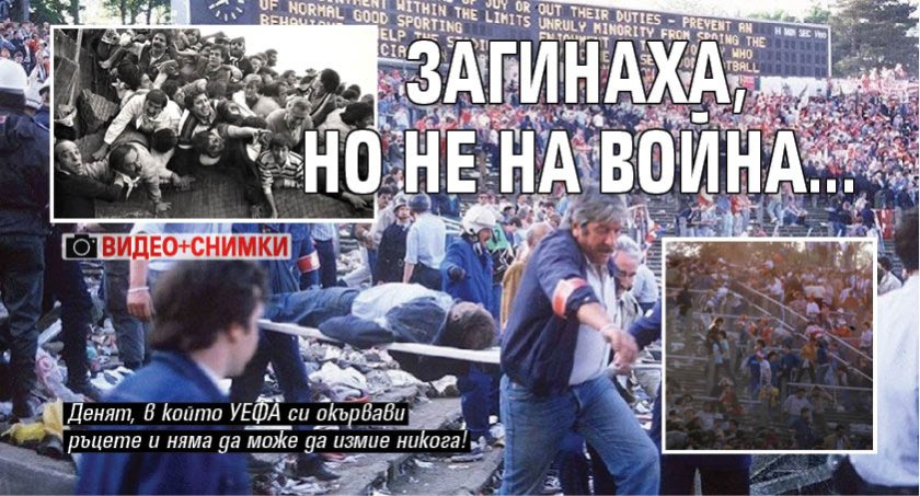 Загинаха, но не на война... (СНИМКИ И ВИДЕО)
