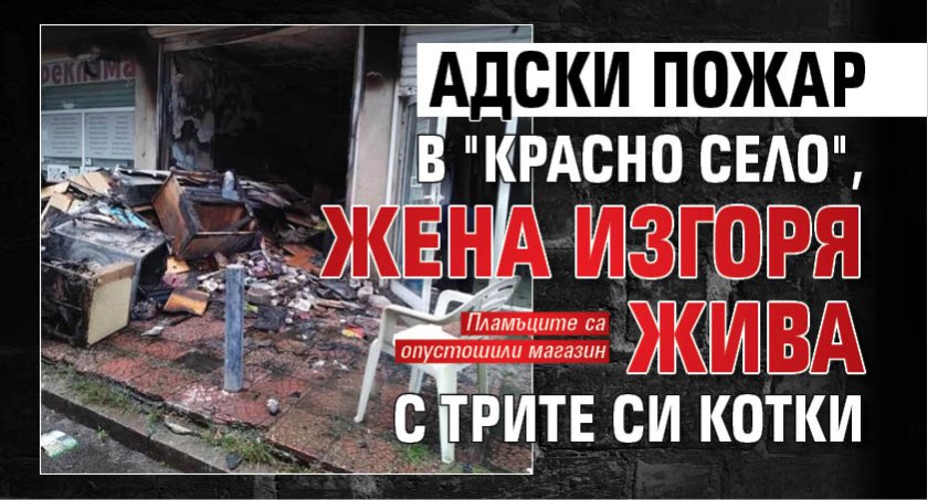 Адски пожар в "Красно село", жена изгоря жива с трите си котки 