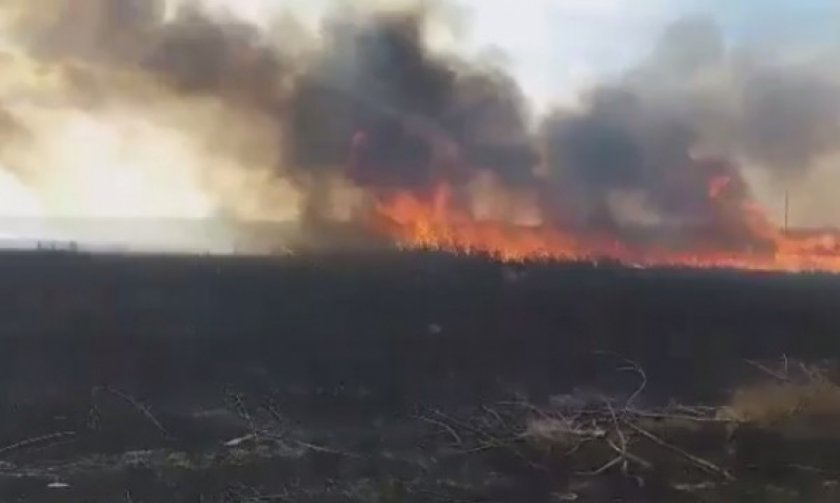 Прокуратурата разследва пожара край Дуранкулашкото езеро
