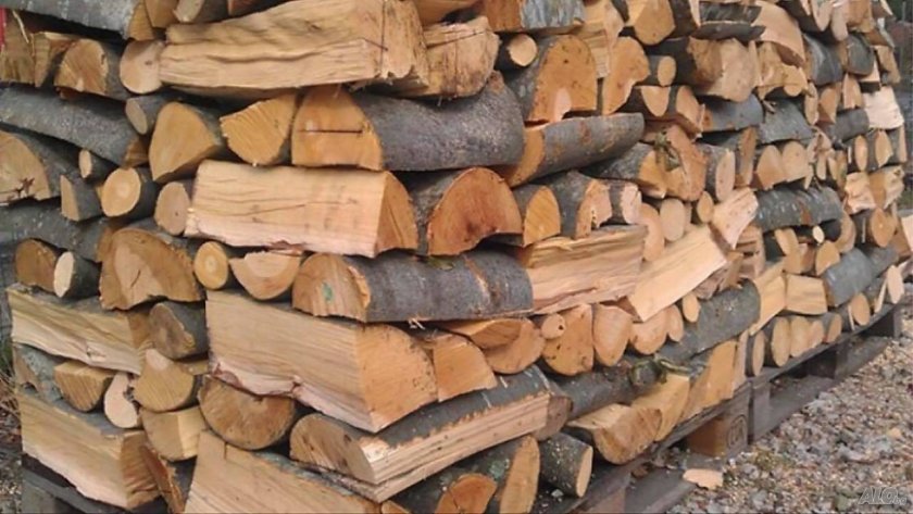 Бум на онлайн продажбите на дървесина