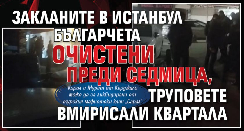Закланите в Истанбул българчета очистени преди седмица, труповете вмирисали квартала