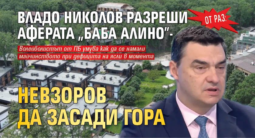 ОТ РАЗ: Владо Николов разреши аферата "Баба Алино" - Невзоров да засади гора