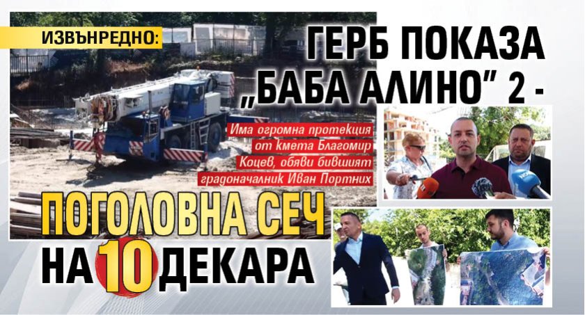 ИЗВЪНРЕДНО: ГЕРБ показа "Баба Алино" 2 - поголовна сеч на 10 декара (СНИМКИ)