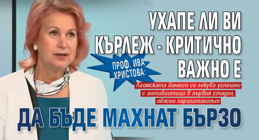 Проф. Ива Христова: Ухапе ли ви кърлеж - критично важно е да бъде махнат бързо 