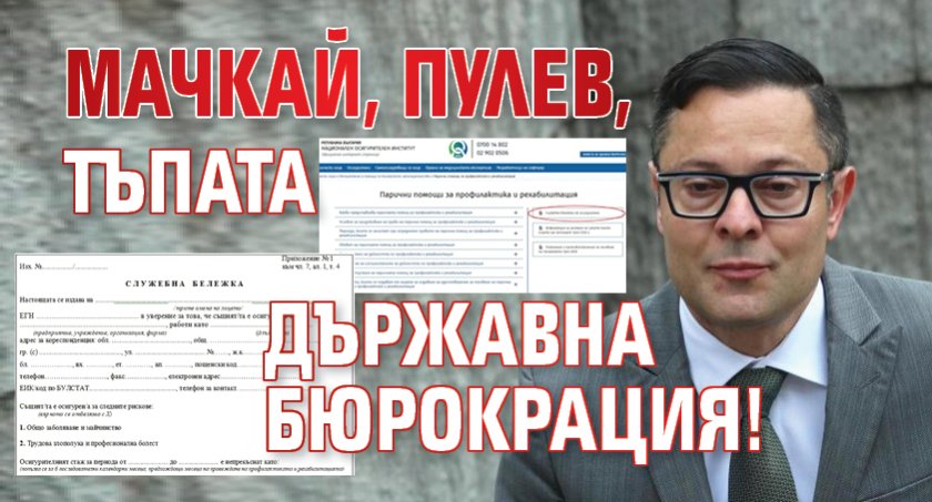 Мачкай, Пулев, тъпата държавна бюрокрация!