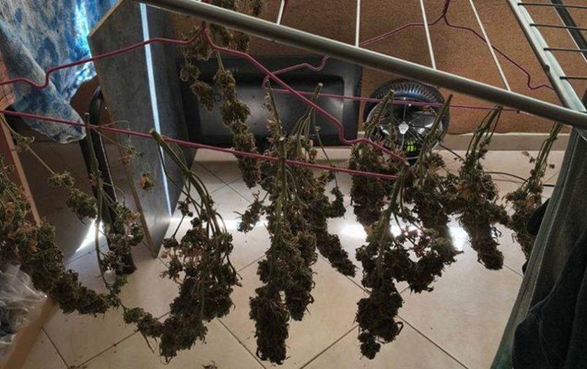 Арестуваха наркоман с килограм кокаин в София, друг суши марихуана на простора