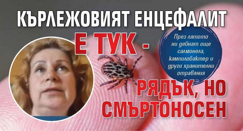 Кърлежовият енцефалит е тук - рядък, но смъртоносен