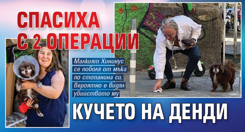 Спасиха с 2 операции кучето на Денди