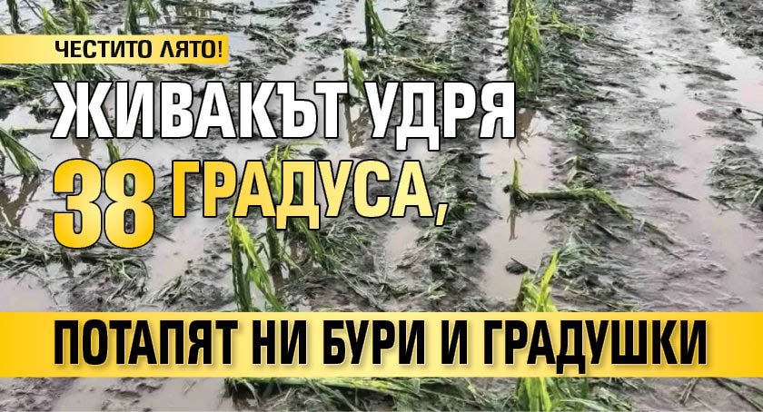 ЧЕСТИТО ЛЯТО! Живакът удря 38 градуса, потапят ни бури и градушки