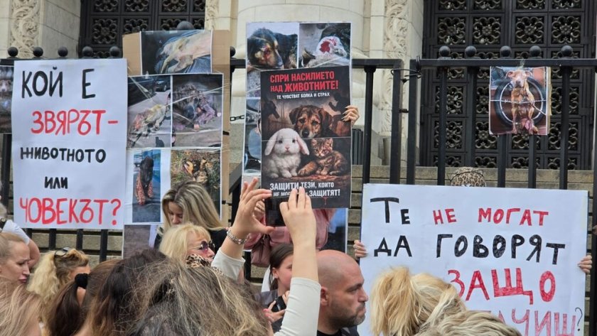 Ще се ангажира ли правителството със стратегия за животните?