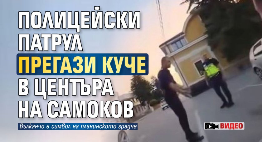 Полицейски патрул прегази куче в центъра на Самоков (ВИДЕО)