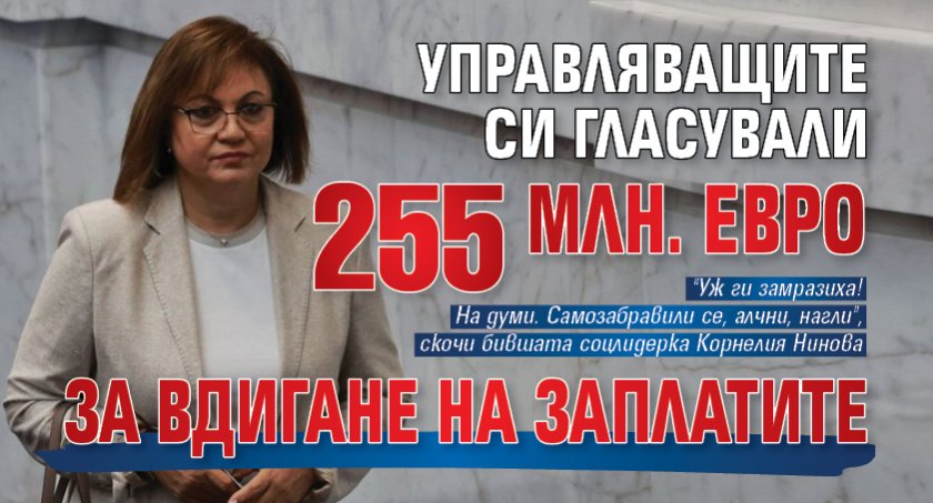 Управляващите си гласували 255 млн. евро за вдигане на заплатите