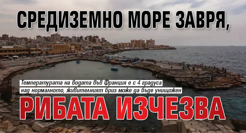 Средиземно море завря, рибата изчезва