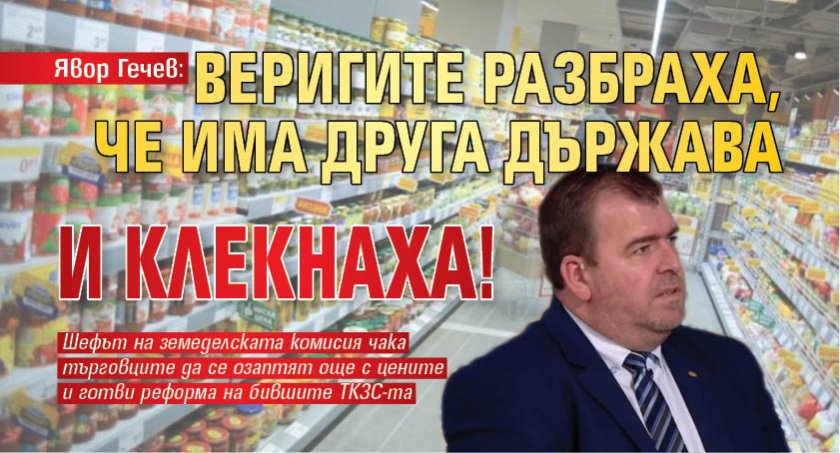 Явор Гечев: Веригите разбраха, че има друга държава и клекнаха! 