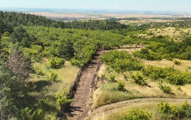 Опасват Бургас с голи пътеки срещу пожари 