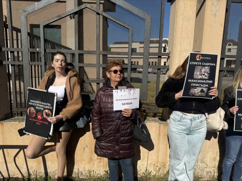 Протестиращи настояват за строги наказания при насилие над животни