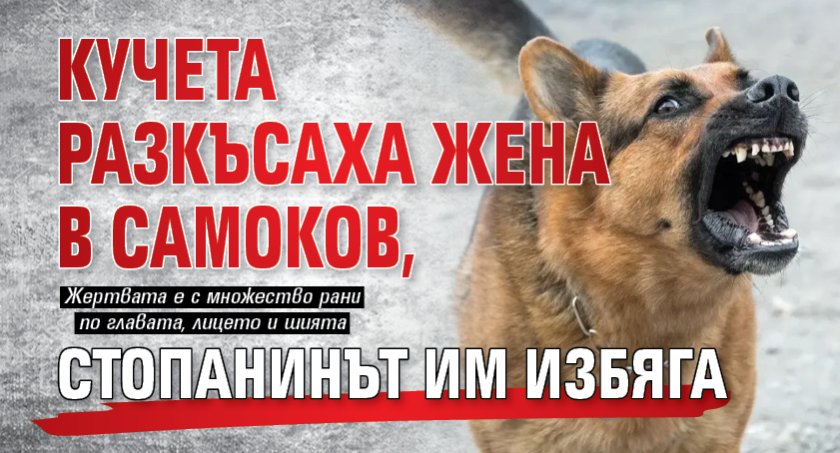 Кучета разкъсаха жена в Самоков, стопанинът им избяга