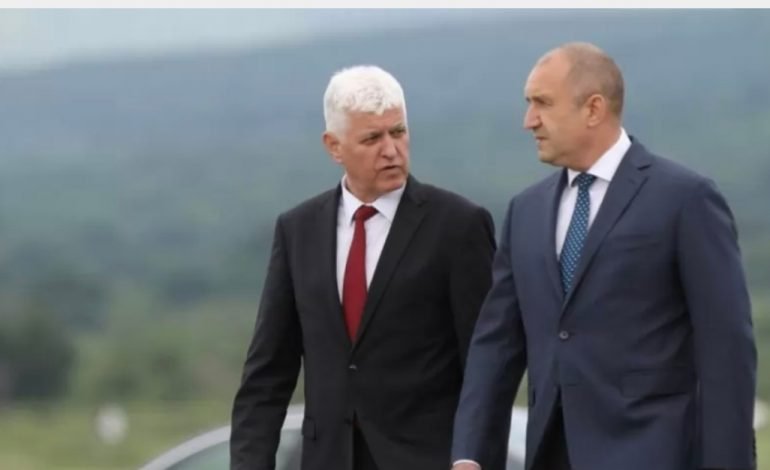 И военният министър отива при Радев в Анкара