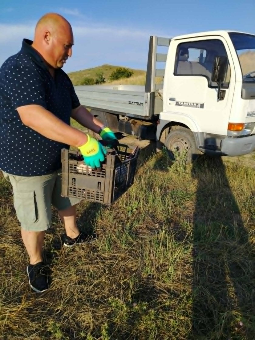 Кмет за пример: Христо Ганев спаси щъркелче край великотърновското село Обединение