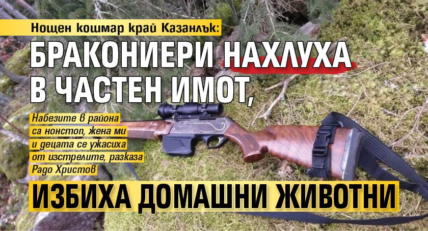 Нощен кошмар край Казанлък: Бракониери нахлуха в частен имот, избиха домашни животни 
