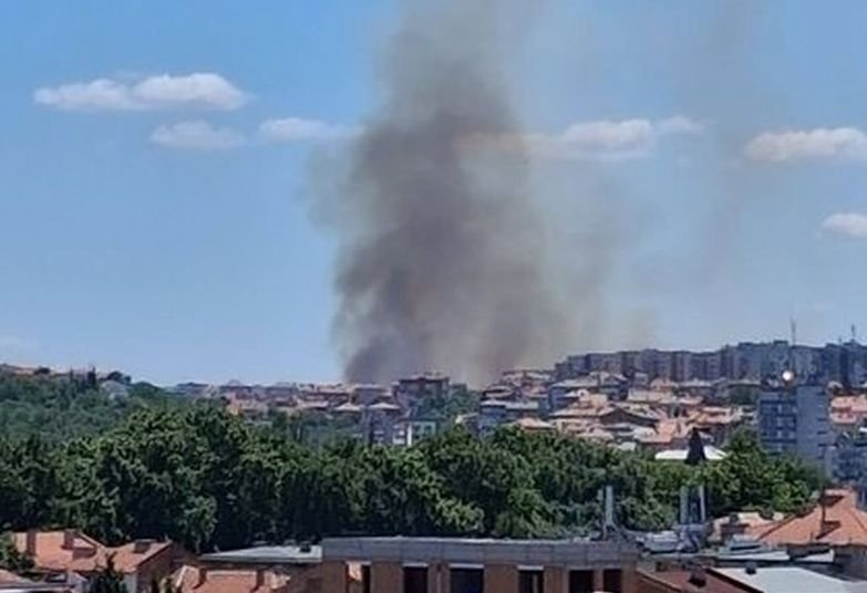 Пожар бушува край Асеновград, затвориха пътя за Кърджали (СНИМКА)