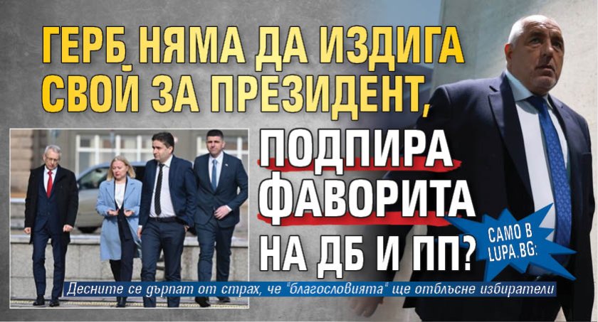 Само в Lupa.bg: ГЕРБ няма да издига свой за президент, подпира фаворита на ДБ и ПП?