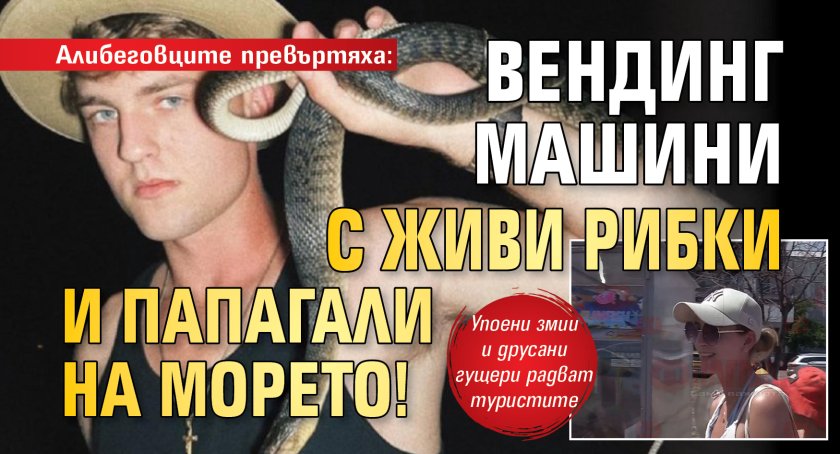 Алибеговците превъртяха: Вендинг машини с живи рибки и папагали на морето!