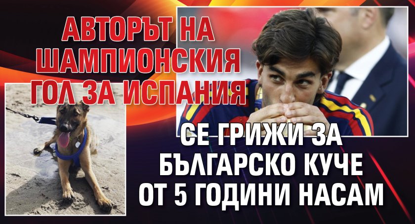 Авторът на шампионския гол за Испания се грижи за българско куче от 5 години насам