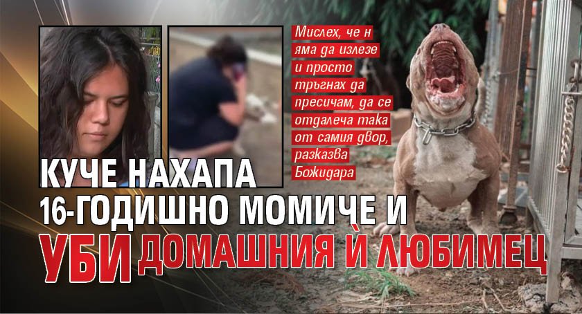Куче нахапа 16-годишно момиче и уби домашния ѝ любимец