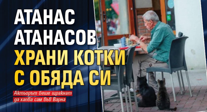 Атанас Атанасов храни котки с обяда си