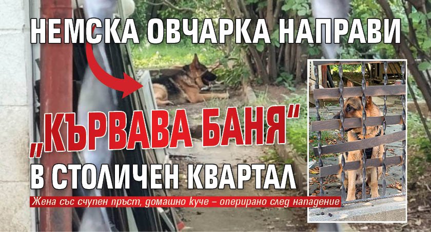 Немска овчарка направи &bdquo;кървава баня&ldquo; в столичен квартал
