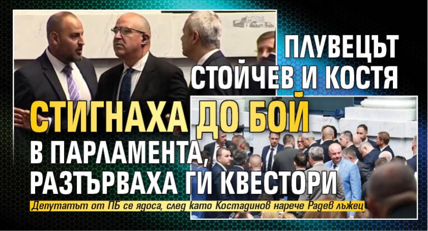 Плувецът Стойчев и Костя стигнаха до бой в парламента, разтърваха ги квестори 