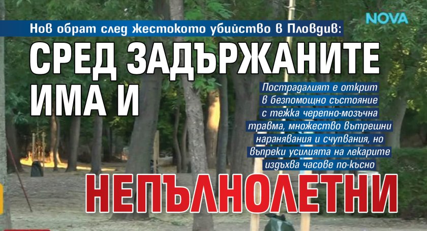 Нов обрат след жестокото убийство в Пловдив: Сред задържаните има и непълнолетни