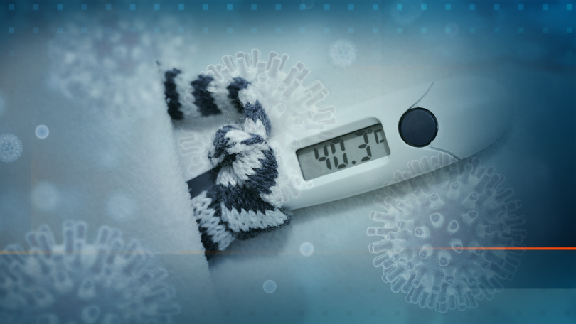 2/3 от България са в капана на грип