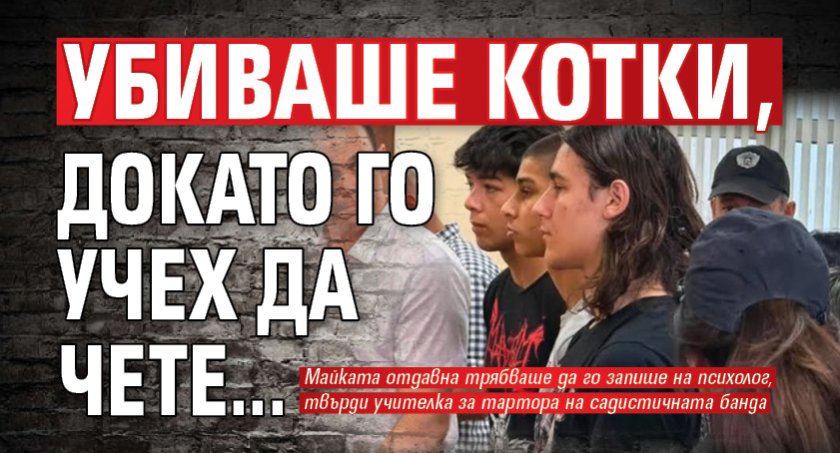 Класната на единия убиец в Пловдив: Убиваше котки, докато го учех да чете...