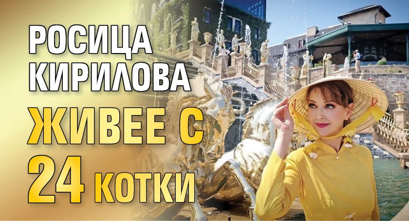 Росица Кирилова живее с 24 котки