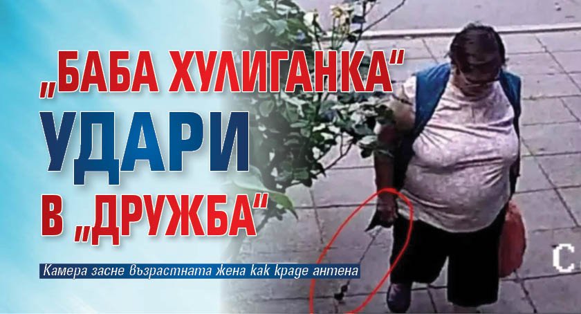 &bdquo;Баба хулиганка&ldquo; удари в &bdquo;Дружба&ldquo; 