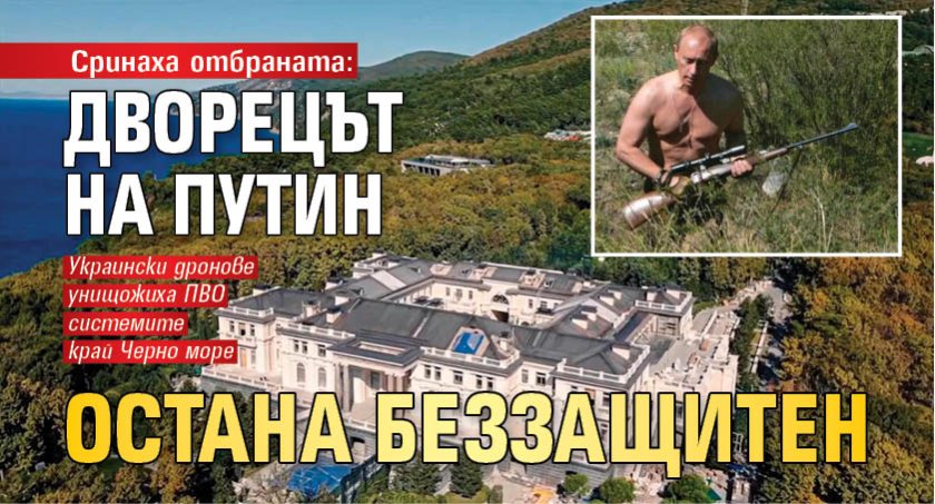 Сринаха отбраната: Дворецът на Путин остана беззащитен