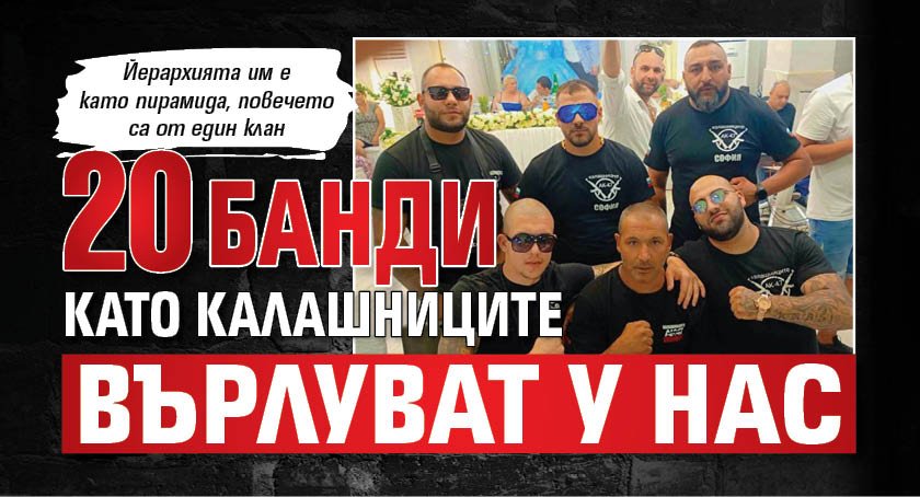 20 банди като Калашниците върлуват у нас