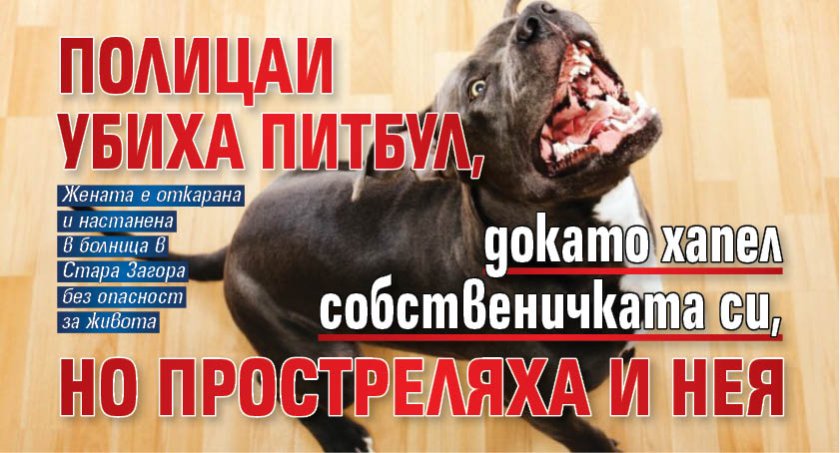 Полицаи убиха питбул, докато хапел собственичката си, но простреляха и нея