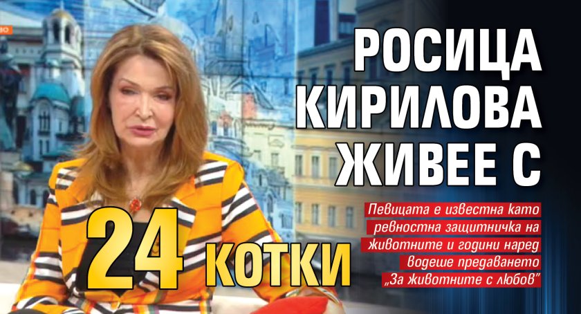 Росица Кирилова живее с 24 котки