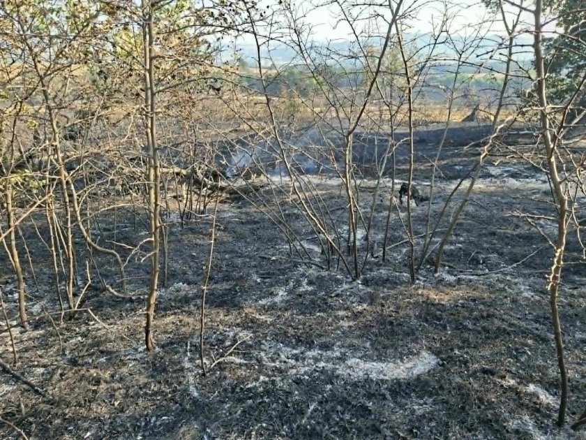 Обявиха частично бедствено положение в Хасковско заради пожара 