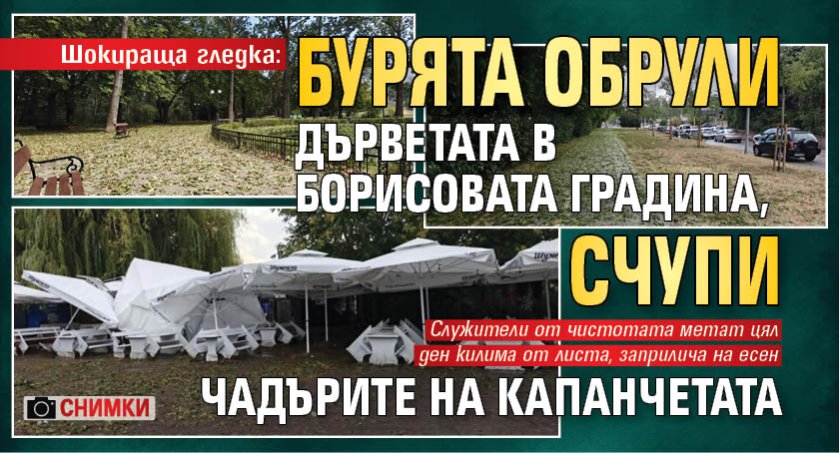 Шокираща гледка: Бурята обрули дърветата в Борисовата градина, счупи чадърите на капанчетата (СНИМКИ)