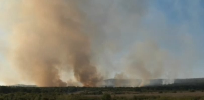 Локализираха част от пожара в Хасковско, изпепелил 10 000 декара